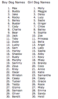 Cool Girl Names For A Dog